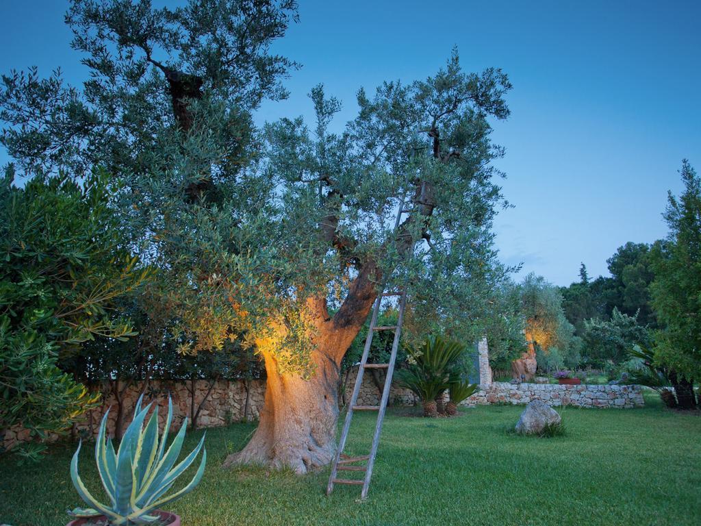 B&B Rosa Podere 28 Palagianello エクステリア 写真